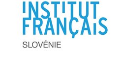 Francuski institut